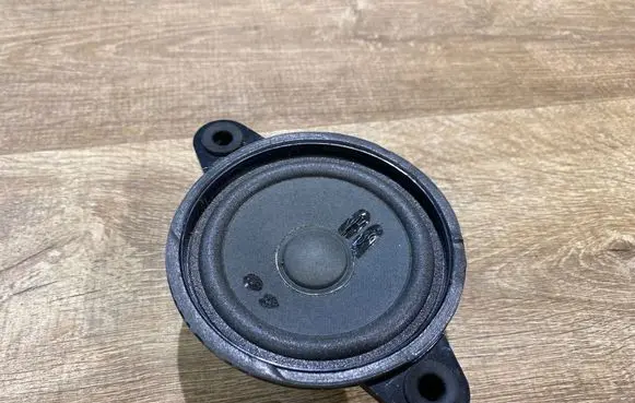 Panel speaker