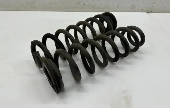 Opel Insignia B Rear coil spring