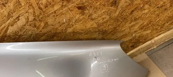 Peugeot 307 Fender