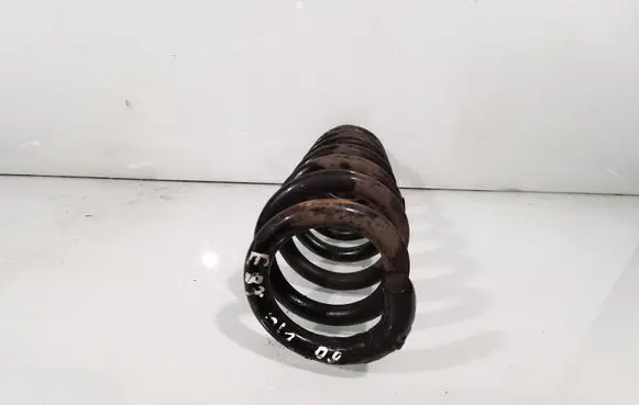Rear coil spring
