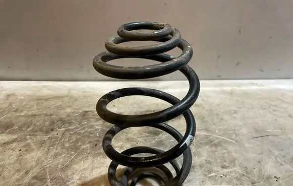 Rear coil spring