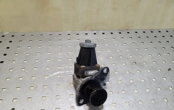 Renault Kadjar EGR valve 5079750303