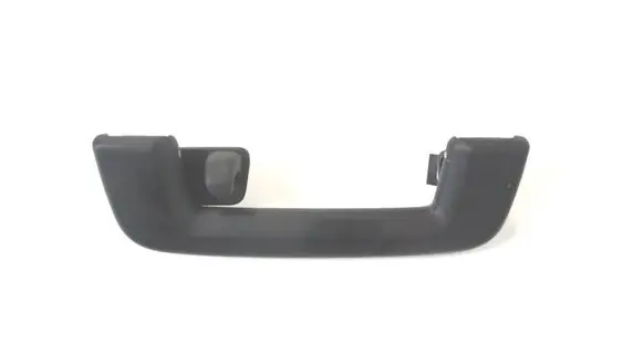 Ford Focus Rear interior roof grab handle 