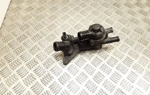 Thermostat/thermostat housing