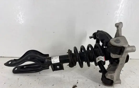 Tesla Model 3 Front shock absorber with coil spring 104436300G 104432100J 104437100D