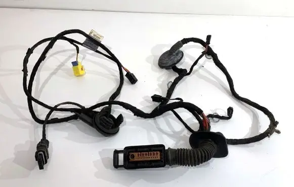 Front door wiring loom