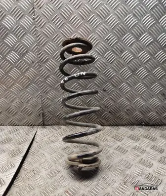 Rear coil spring