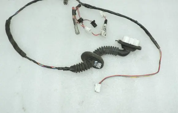 Rear door wiring loom