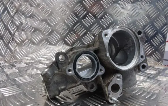 Thermostat/thermostat housing