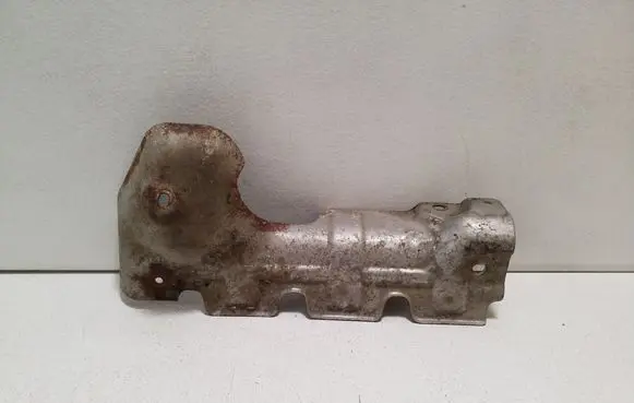 Exhaust heat shield