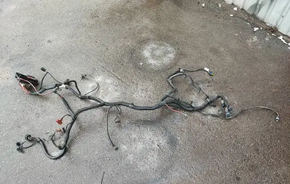 Renault Scenic I Other wiring loom