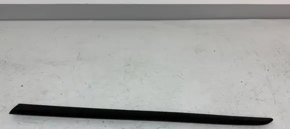 Front door trim (molding)