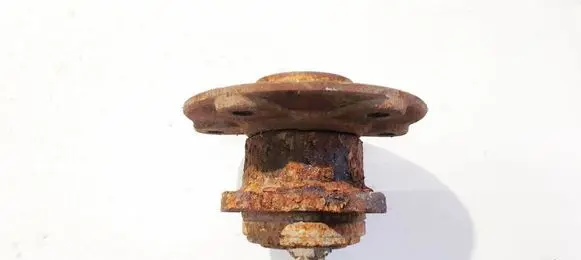 Rear wheel hub