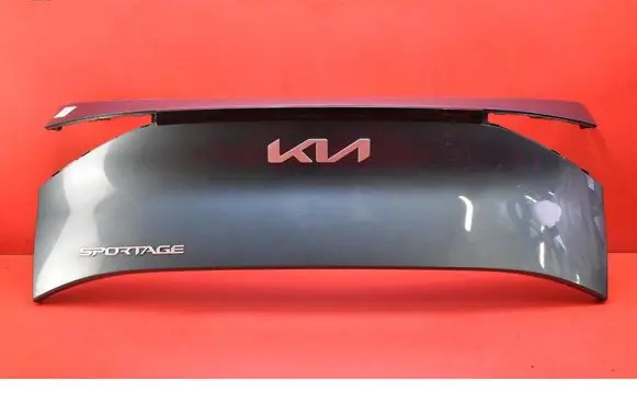 KIA Sportage Number plate light 87310R2010