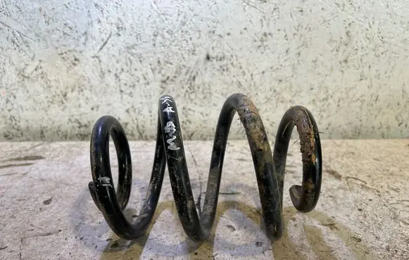Rear coil spring