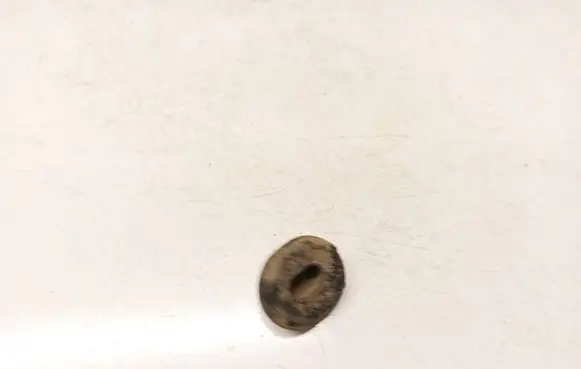 Volvo S60 Other interior part 975815