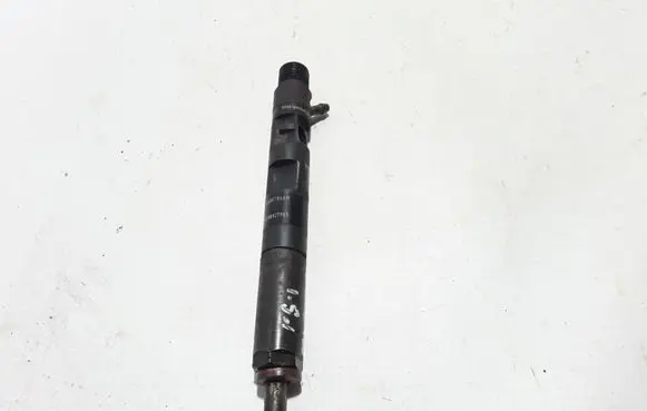 Renault Kangoo II Fuel injector 8200827965