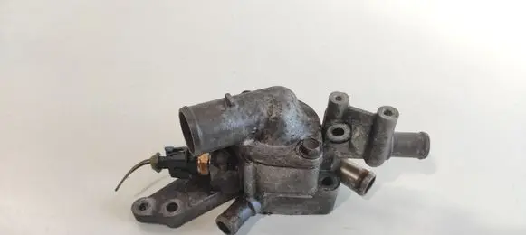 Thermostat/thermostat housing