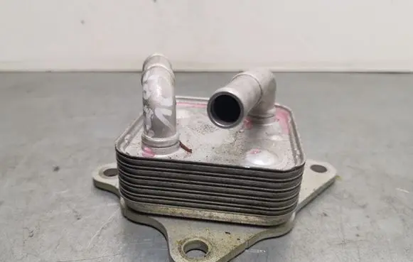 Toyota RAV 4 (XA50) EGR valve cooler 2501TRAD