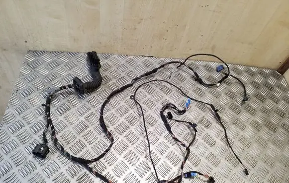 BMW X5 E70 Front door wiring loom 9116976