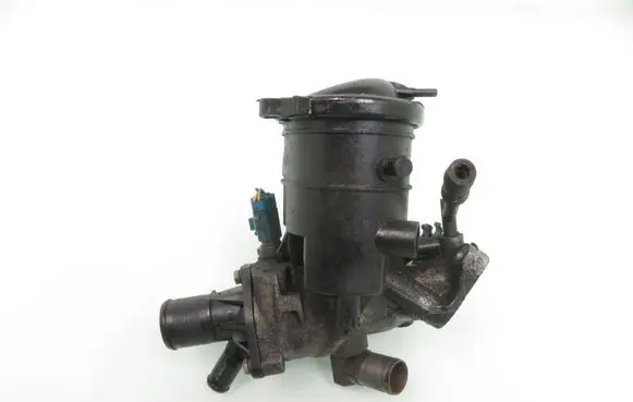 Thermostat/thermostat housing