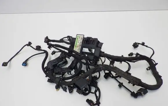 Engine installation wiring loom
