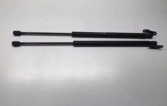 Tailgate/trunk strut/damper