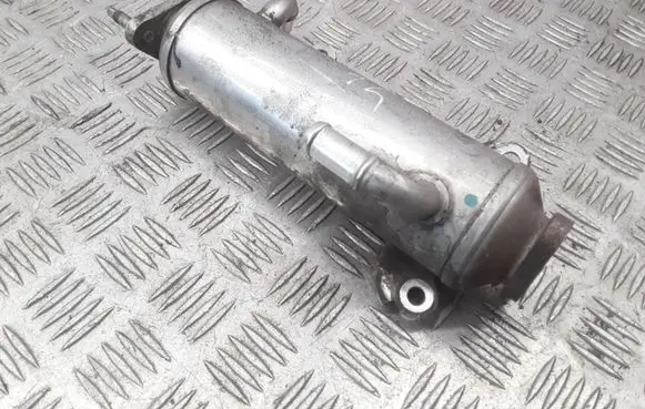 Chevrolet Captiva EGR valve cooler 96817829 C101553