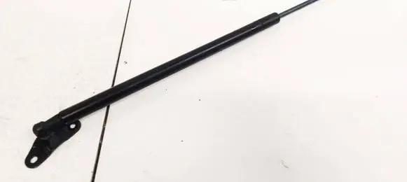 Tailgate/trunk strut/damper