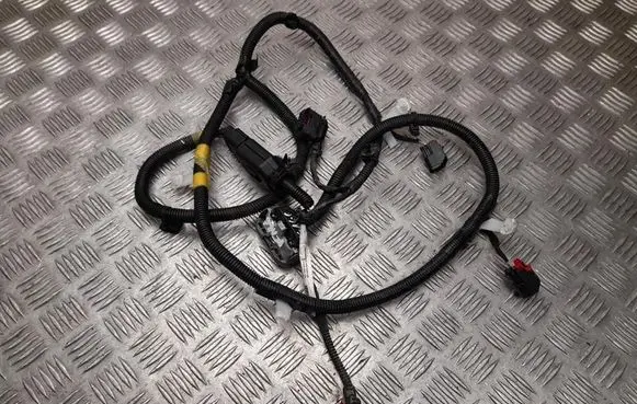 Tesla Model 3 Other wiring loom 189732901B