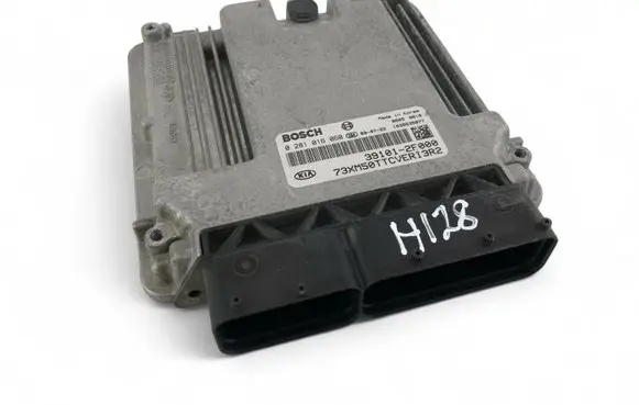 KIA Sorento Engine control unit/module ECU 391012F000 0281016060