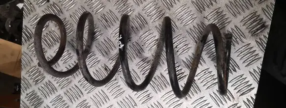 Volkswagen Fox Front coil spring