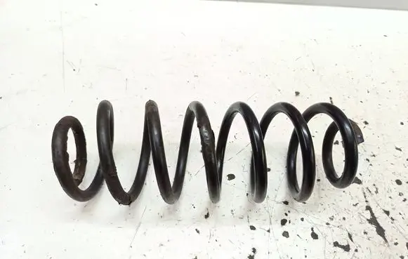Rear coil spring