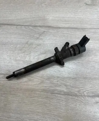 Citroen C8 Fuel injector 0445110036
