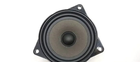 BMW X5 E70 Front door speaker 65139141494 9141494