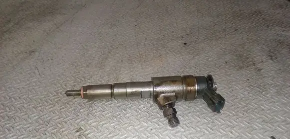 Citroen C3 Fuel injector 0445110252