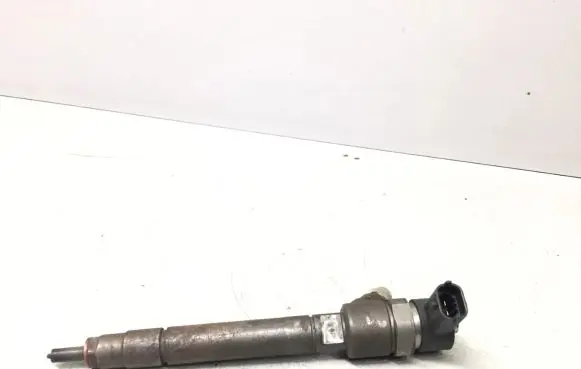Volvo V70 Fuel injector 0445110251
