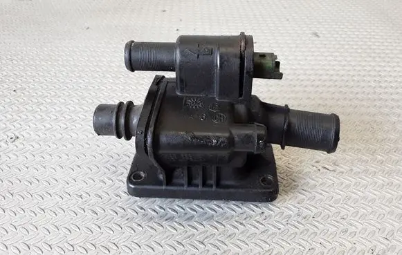 Thermostat/thermostat housing