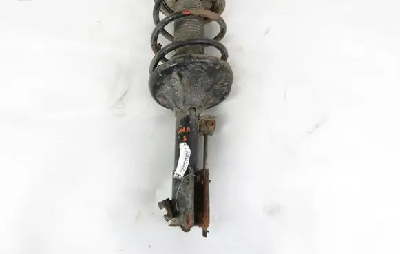 Hyundai Santa Fe Front shock absorber with coil spring