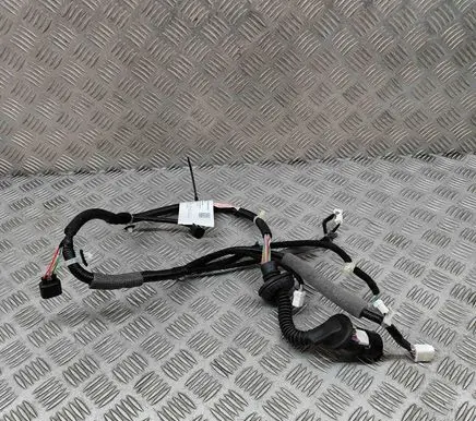 Rear door wiring loom