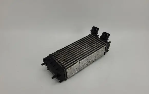 Peugeot Partner Intercooler radiator 9684212480