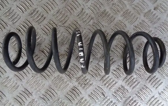 Rear coil spring