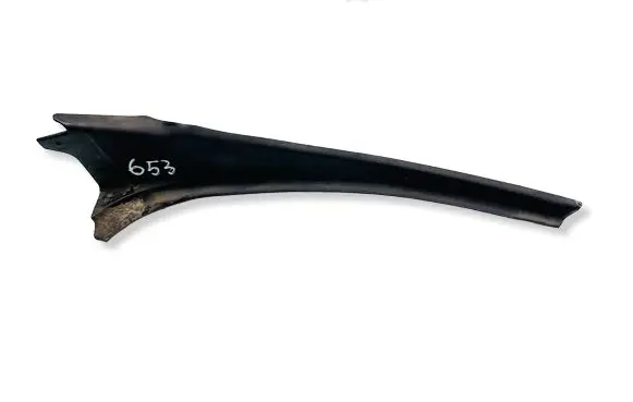 Peugeot Expert Windshield trim 9812855077 84515N01