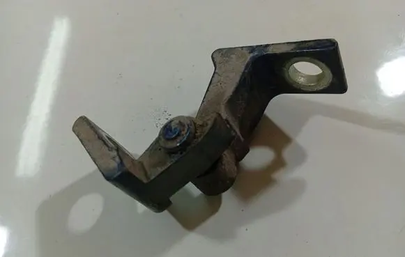 Rear door lower hinge