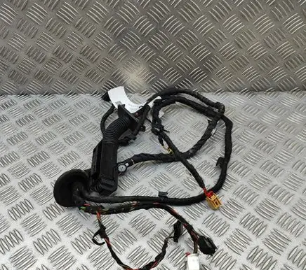 Audi Q4 Sportback e-tron Front door wiring loom TAB010403EE