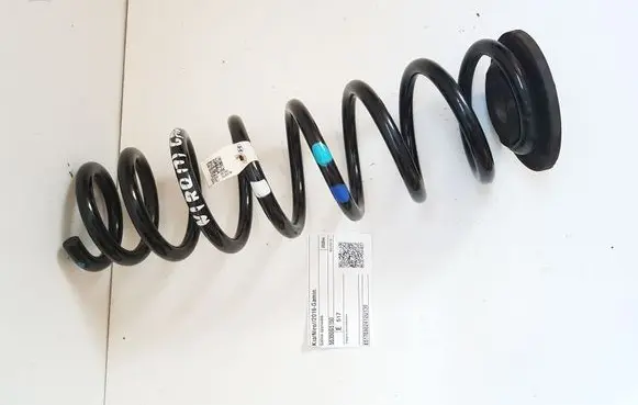 Rear coil spring