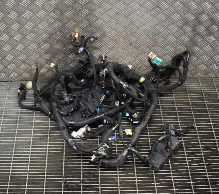 Chevrolet Volt I Other wiring loom 22854033