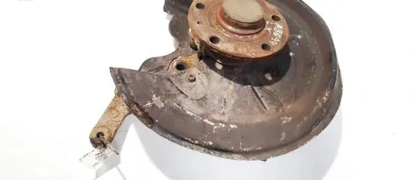 Skoda Octavia Mk2 (1Z) Rear wheel hub didzioji