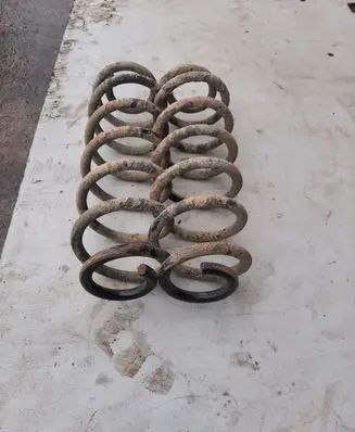Volkswagen PASSAT B6 Rear coil spring