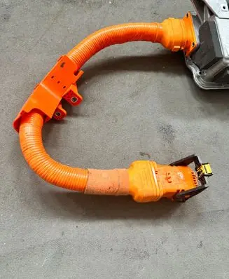 KIA EV6 Other wiring loom 91981GI100